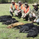 Illustration for article titled Boar Hunts, iPhone 5s, and Other Stories We Didnt Post
